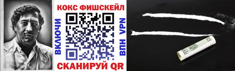 купить  сайты  Шелехов  COCAIN Fish Scale 