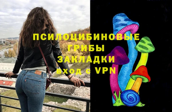дурь Алексин