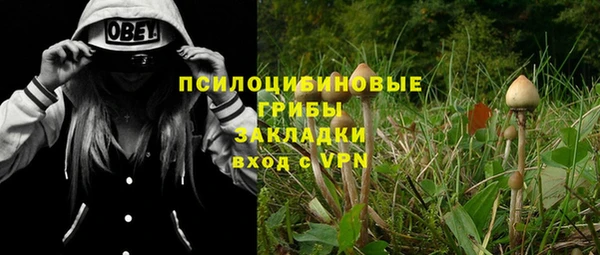 ALPHA PVP Нягань