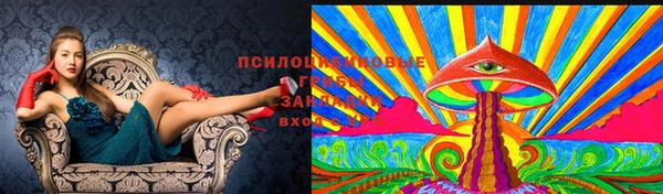 марки lsd Няндома